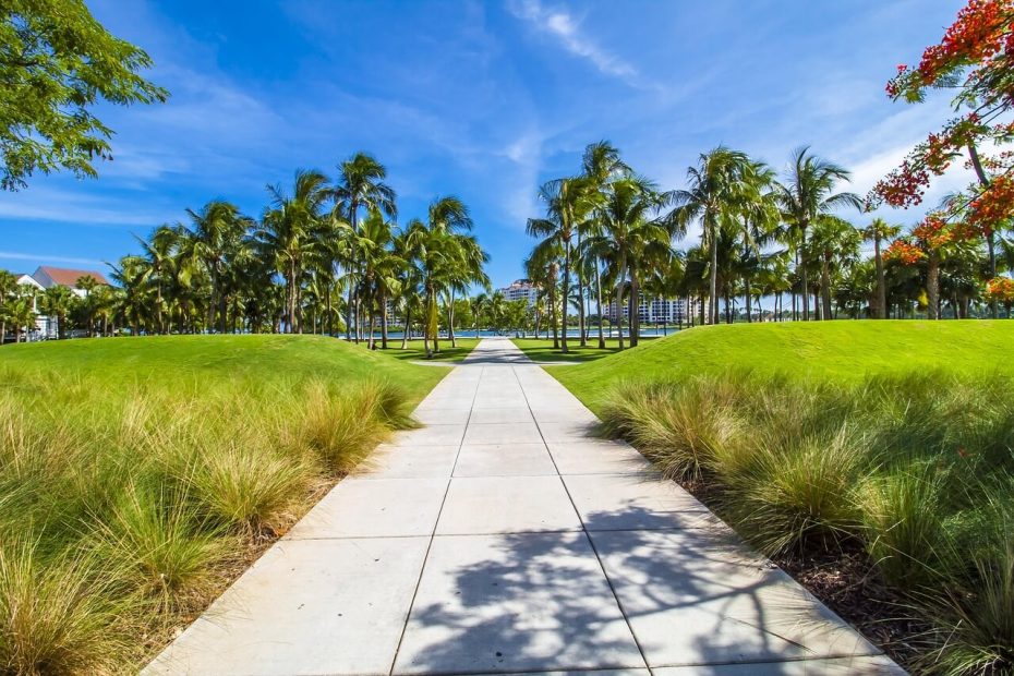 Thriving Under the Miami Sun A Monthly Care Calendar for Your South Florida Garden