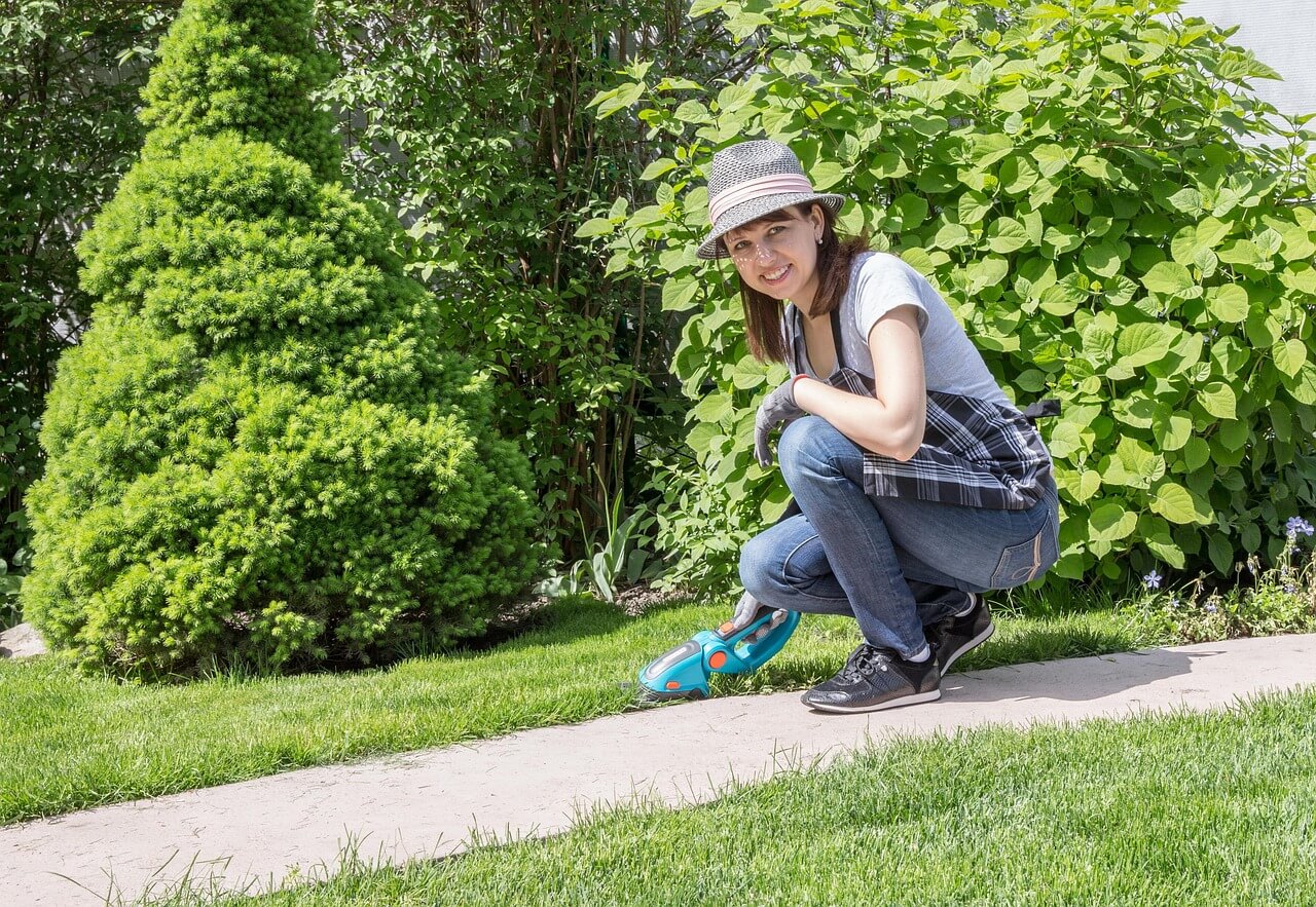 Upgrade Your Miami Backyard: Smart and Stylish Garden Improvement Projects