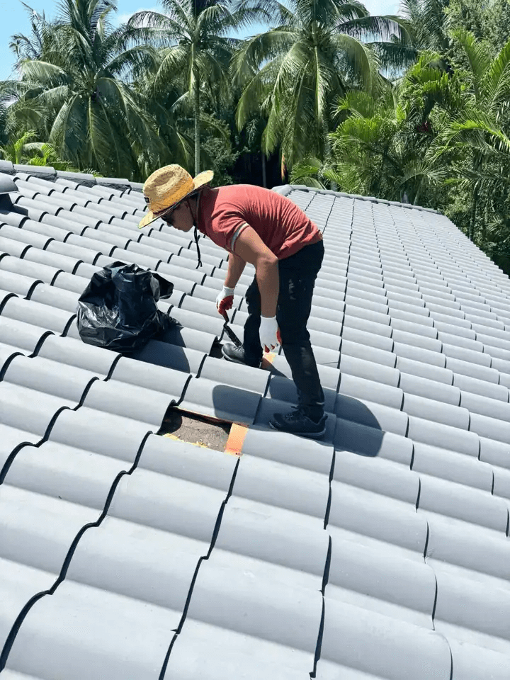 roof replacement